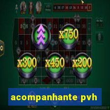 acompanhante pvh